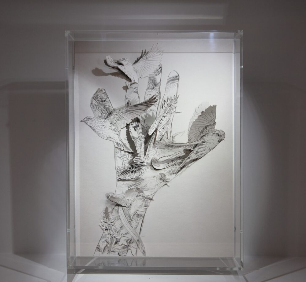 Clear case housing a paper sculpture of cutouts and black-and-white illustrations of realistically rendered birds forming the shape of a hand.