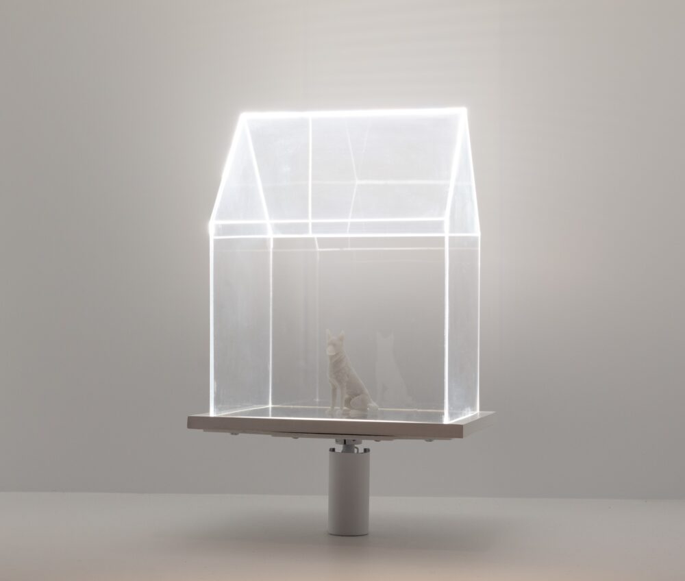Model in the general shape of a house and made of a clear material. White light illuminates the seams of the structure. Inside the structure is a small, white model of a dog.