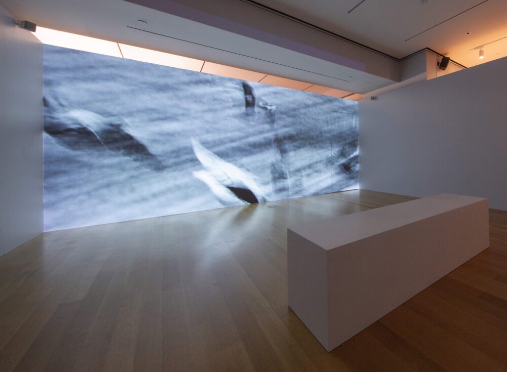 Installation view of a white rectangular bench on a wooden floor, facing a white wall with moving black-and-white projections on it.