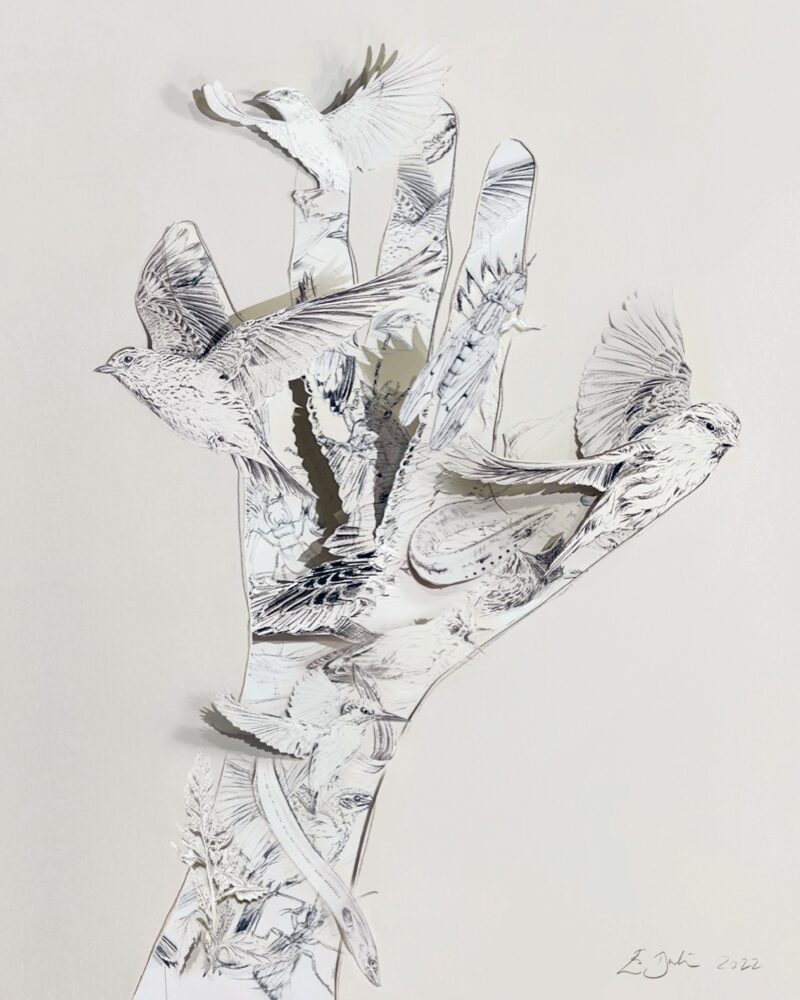 Paper sculpture of cutouts and black-and-white illustrations of realistically rendered birds forming the shape of a hand.